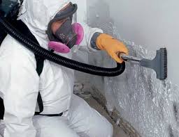 Best Crawl Space Mold Remediation  in Ash Grove, MO